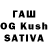 Псилоцибиновые грибы GOLDEN TEACHER Klaver Club
