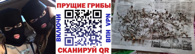 Купить  Спасск-Рязанский  Галлюциногенные грибы прущие грибы 